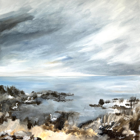Cygnes à Arès