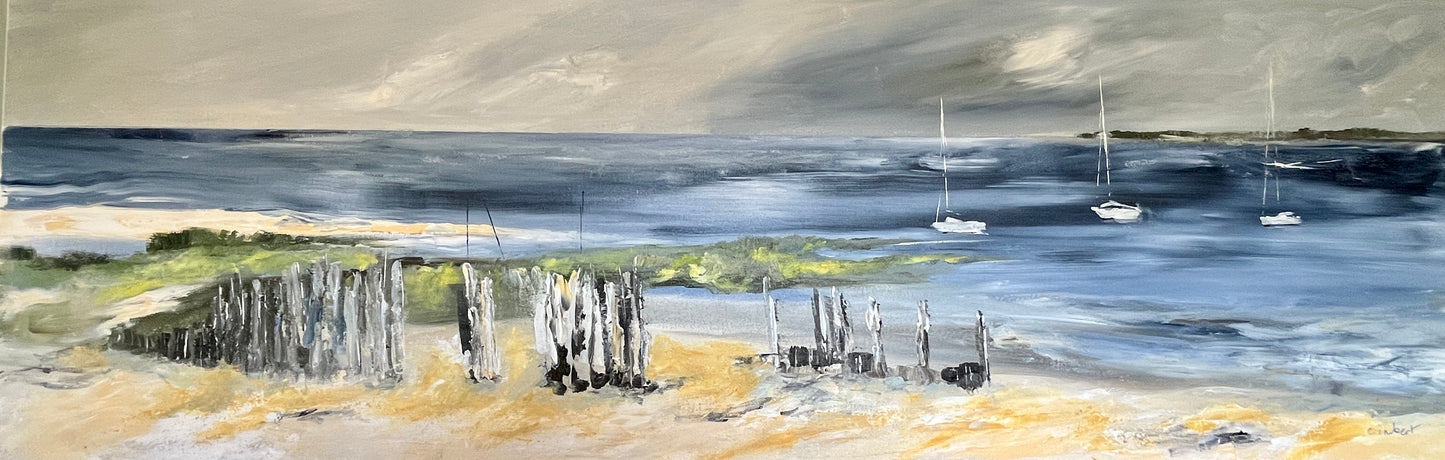 Pointe de l'Aiguillon bleue