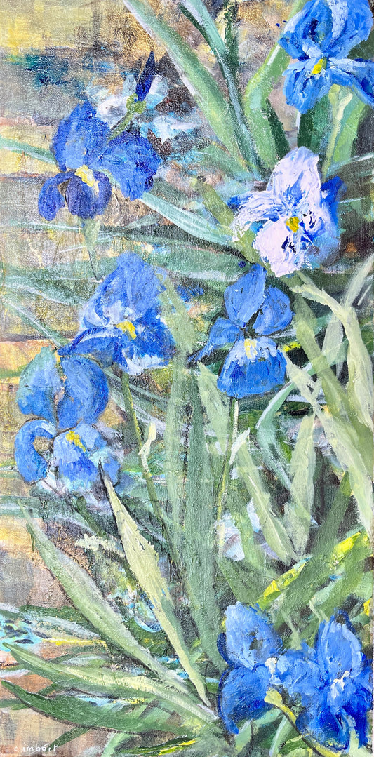 Iris