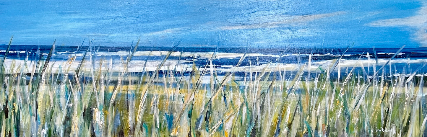 Vue sur le banc d'Arguin