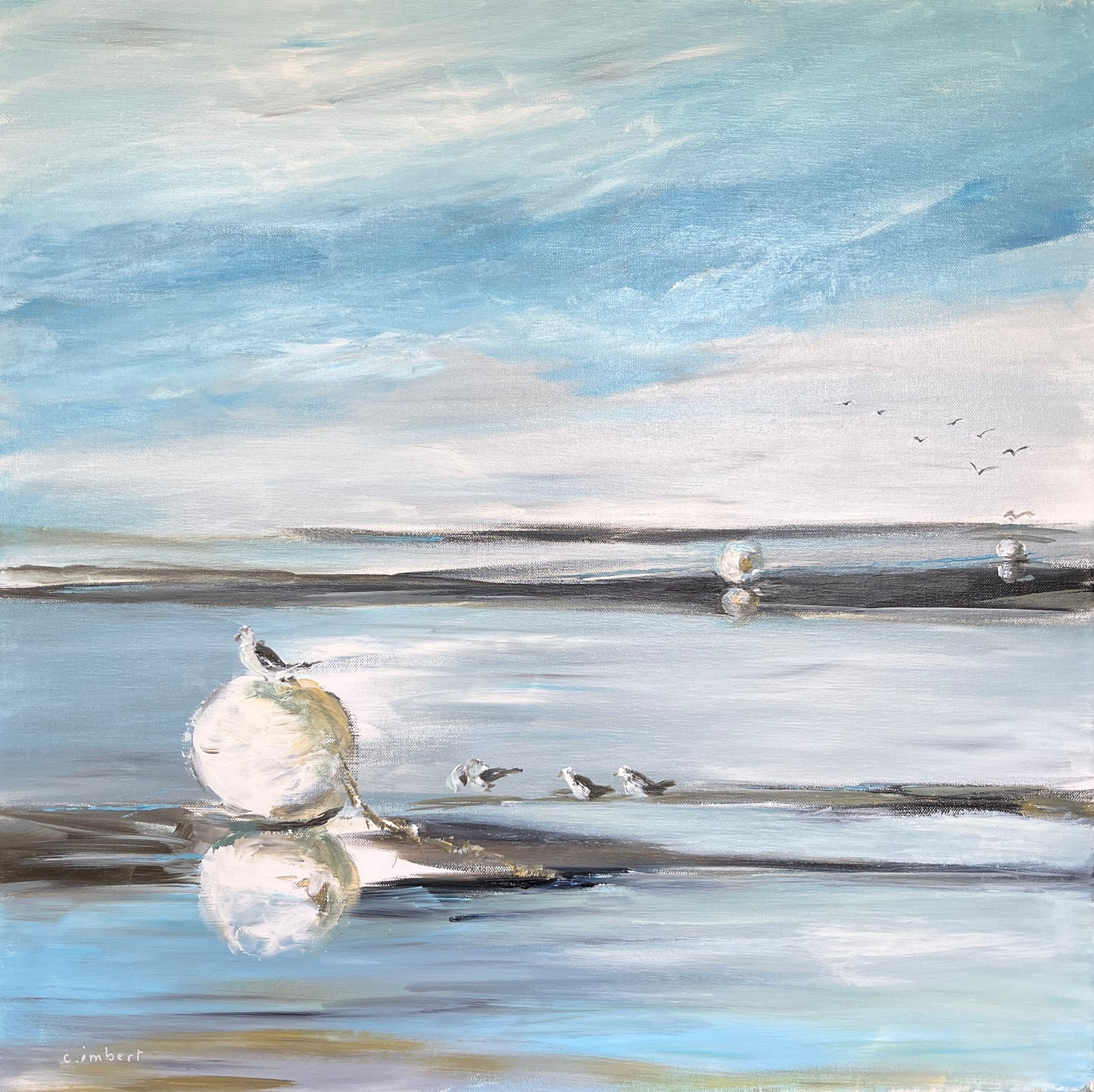 Mouette sur un corps mort