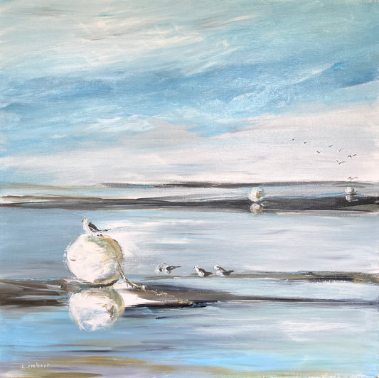 Mouette sur un corps mort