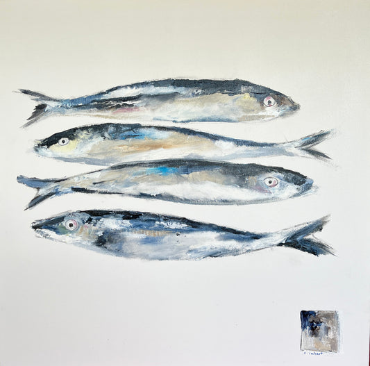 Sardines