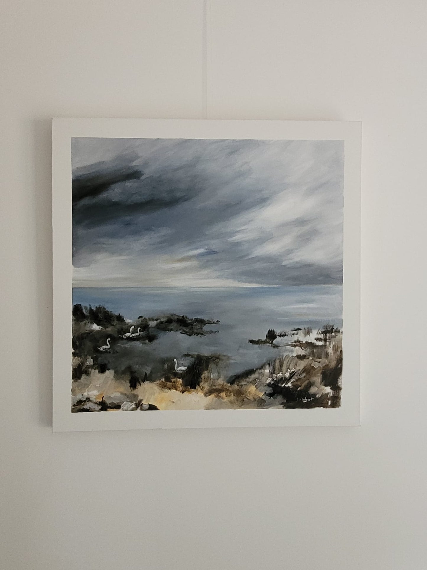 Cygnes à Arès